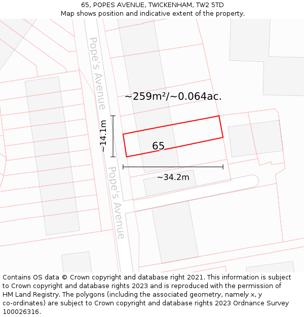 65, POPES AVENUE, TWICKENHAM, TW2 5TD: Plot and title map