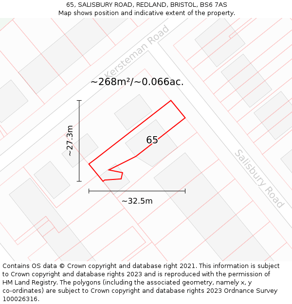 65, SALISBURY ROAD, REDLAND, BRISTOL, BS6 7AS: Plot and title map