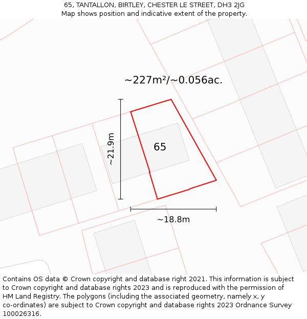 65, TANTALLON, BIRTLEY, CHESTER LE STREET, DH3 2JG: Plot and title map