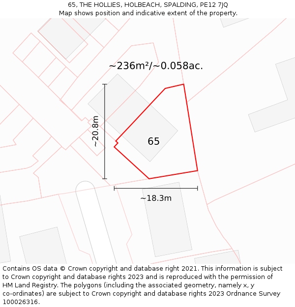 65, THE HOLLIES, HOLBEACH, SPALDING, PE12 7JQ: Plot and title map