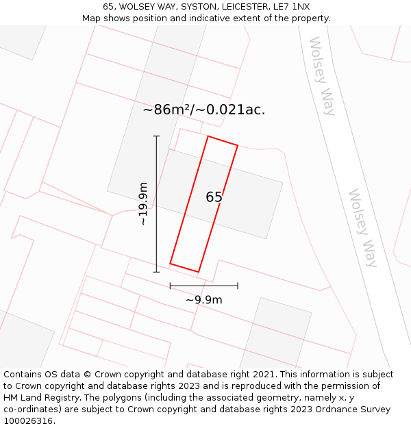 65, WOLSEY WAY, SYSTON, LEICESTER, LE7 1NX: Plot and title map