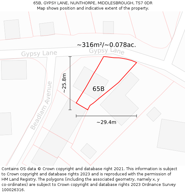 65B, GYPSY LANE, NUNTHORPE, MIDDLESBROUGH, TS7 0DR: Plot and title map