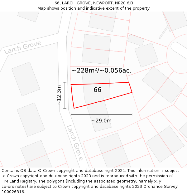 66, LARCH GROVE, NEWPORT, NP20 6JB: Plot and title map