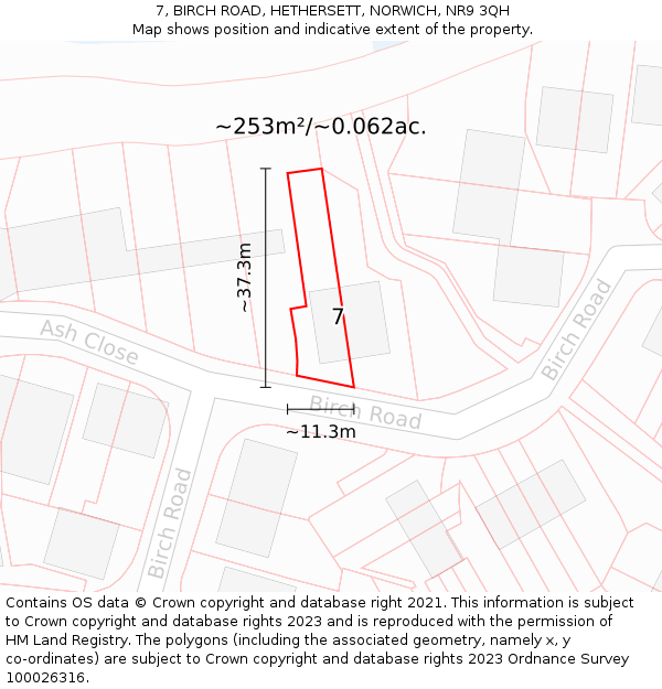 7, BIRCH ROAD, HETHERSETT, NORWICH, NR9 3QH: Plot and title map