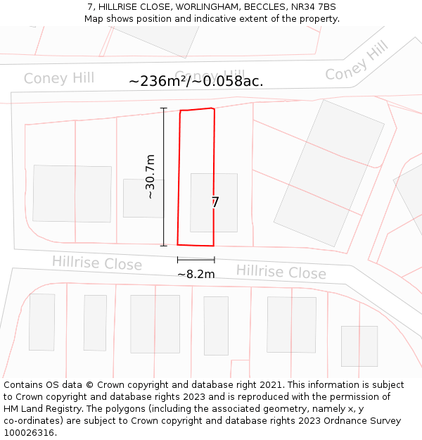 7, HILLRISE CLOSE, WORLINGHAM, BECCLES, NR34 7BS: Plot and title map