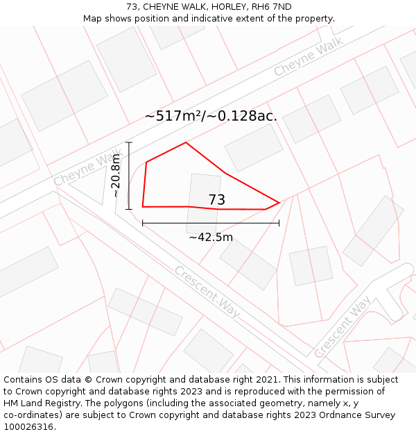 73, CHEYNE WALK, HORLEY, RH6 7ND: Plot and title map