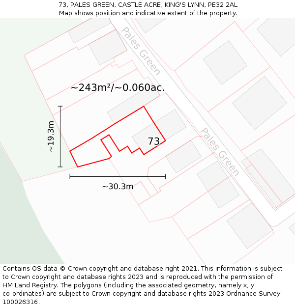 73, PALES GREEN, CASTLE ACRE, KING'S LYNN, PE32 2AL: Plot and title map