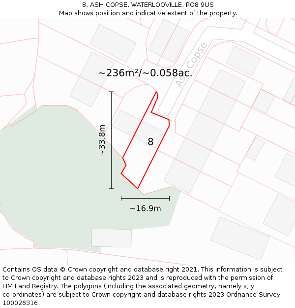 8, ASH COPSE, WATERLOOVILLE, PO8 9US: Plot and title map