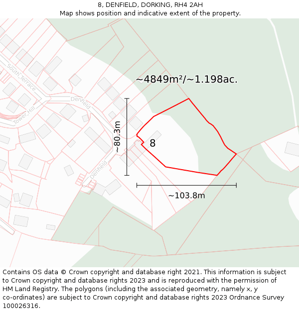 8, DENFIELD, DORKING, RH4 2AH: Plot and title map