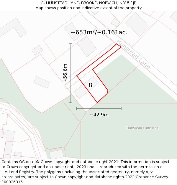 8, HUNSTEAD LANE, BROOKE, NORWICH, NR15 1JP: Plot and title map