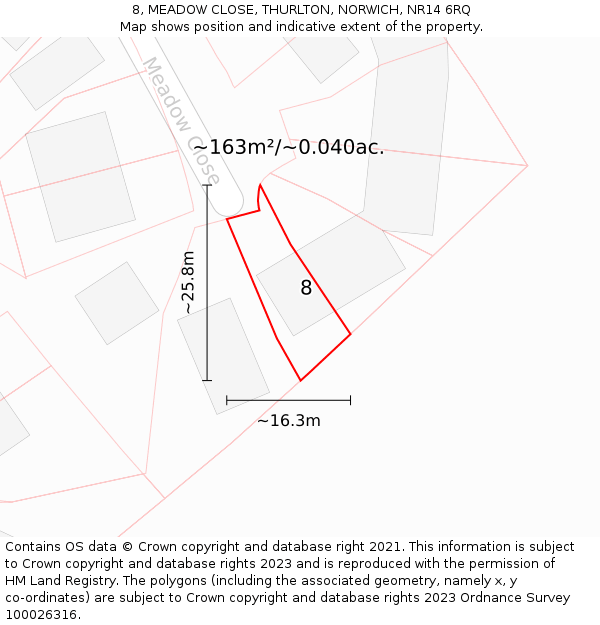 8, MEADOW CLOSE, THURLTON, NORWICH, NR14 6RQ: Plot and title map