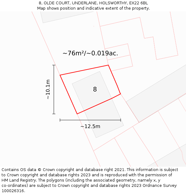 8, OLDE COURT, UNDERLANE, HOLSWORTHY, EX22 6BL: Plot and title map