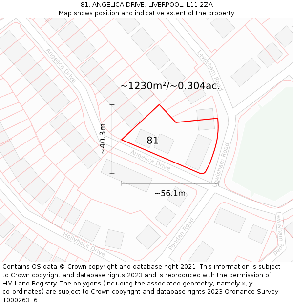 81, ANGELICA DRIVE, LIVERPOOL, L11 2ZA: Plot and title map