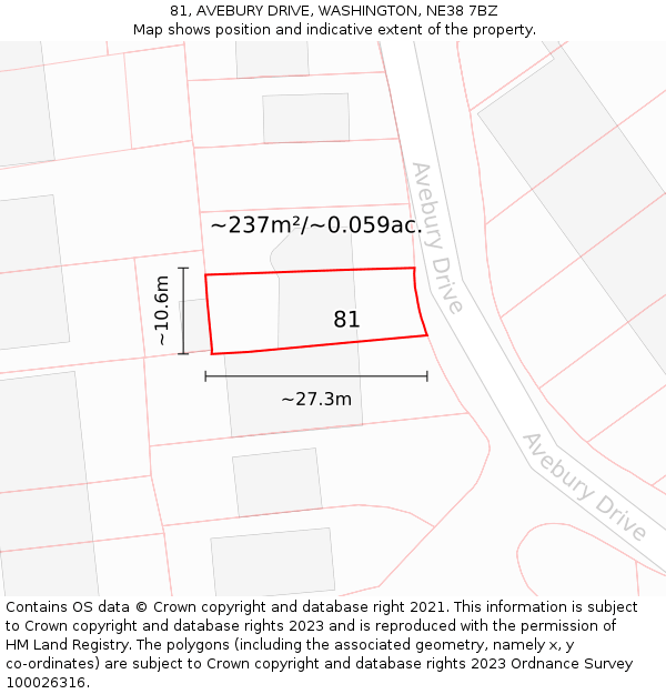 81, AVEBURY DRIVE, WASHINGTON, NE38 7BZ: Plot and title map