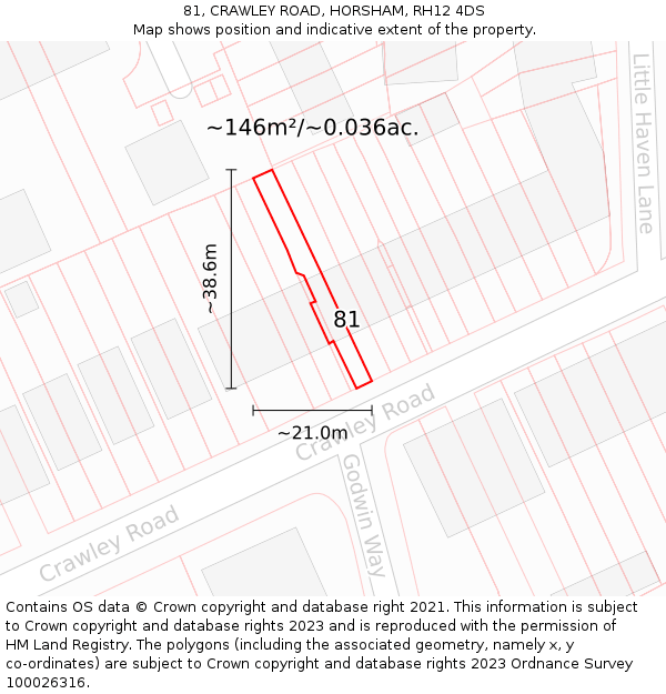 81, CRAWLEY ROAD, HORSHAM, RH12 4DS: Plot and title map