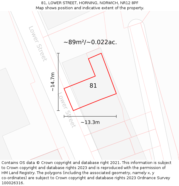 81, LOWER STREET, HORNING, NORWICH, NR12 8PF: Plot and title map