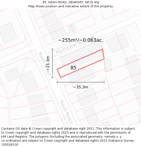 85, NASH ROAD, NEWPORT, NP19 4NJ: Plot and title map