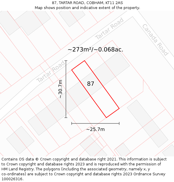 87, TARTAR ROAD, COBHAM, KT11 2AS: Plot and title map