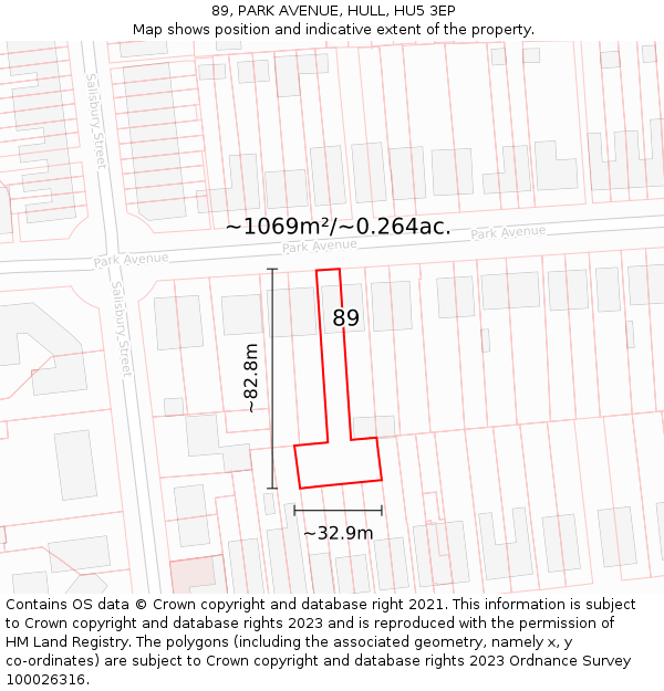 89, PARK AVENUE, HULL, HU5 3EP: Plot and title map