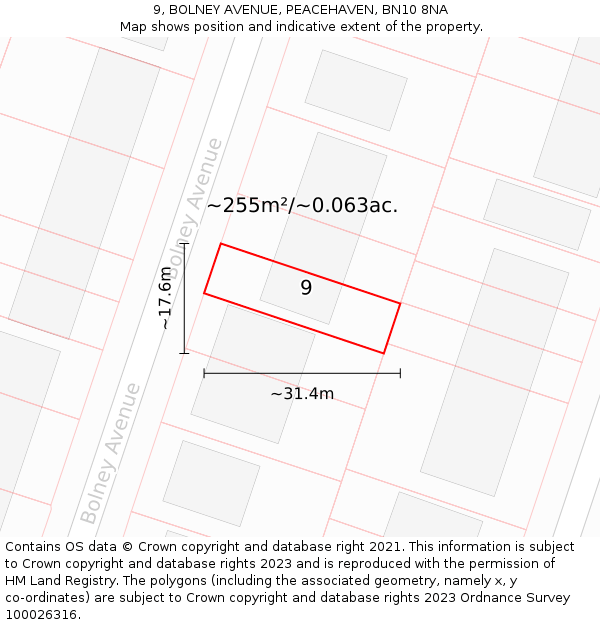 9, BOLNEY AVENUE, PEACEHAVEN, BN10 8NA: Plot and title map