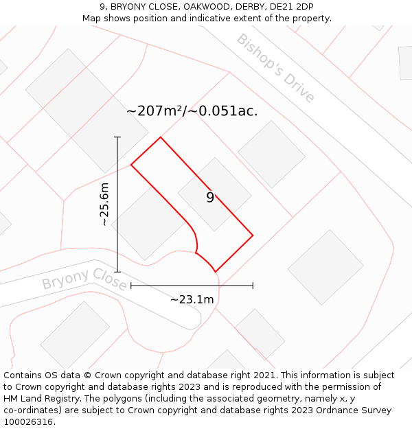 9, BRYONY CLOSE, OAKWOOD, DERBY, DE21 2DP: Plot and title map