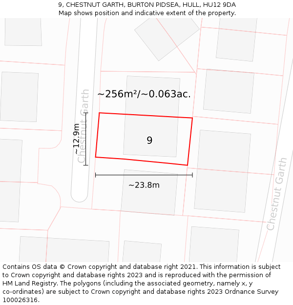 9, CHESTNUT GARTH, BURTON PIDSEA, HULL, HU12 9DA: Plot and title map