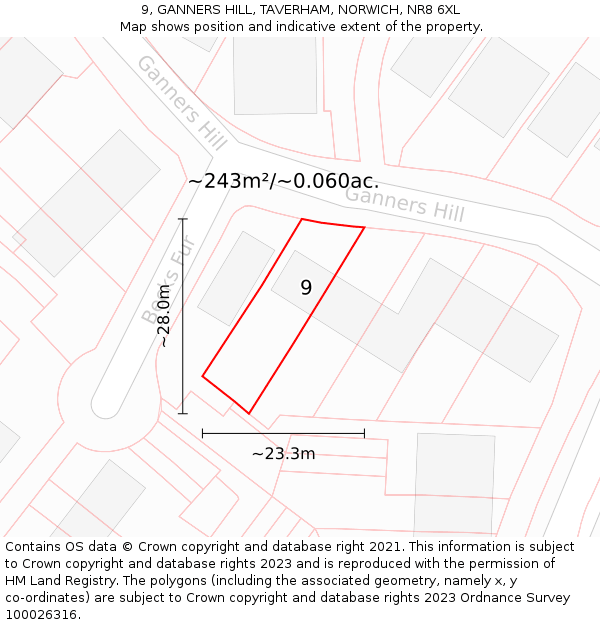 9, GANNERS HILL, TAVERHAM, NORWICH, NR8 6XL: Plot and title map