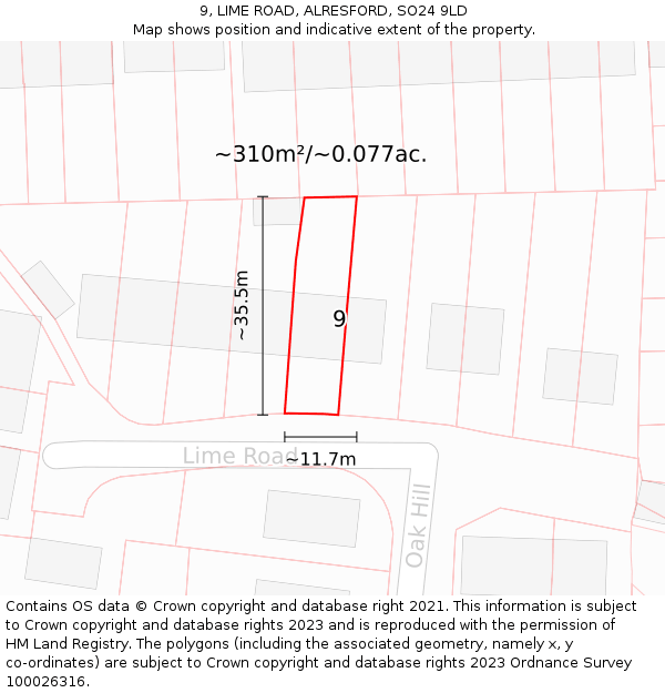 9, LIME ROAD, ALRESFORD, SO24 9LD: Plot and title map