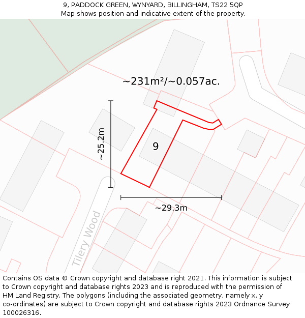 9, PADDOCK GREEN, WYNYARD, BILLINGHAM, TS22 5QP: Plot and title map