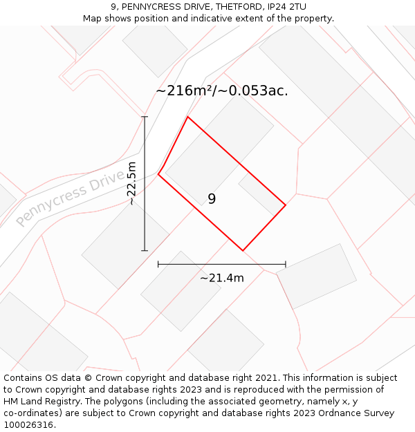 9, PENNYCRESS DRIVE, THETFORD, IP24 2TU: Plot and title map