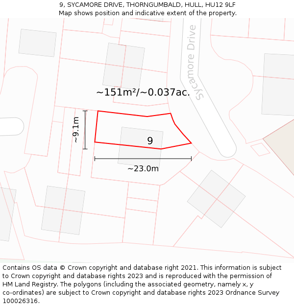 9, SYCAMORE DRIVE, THORNGUMBALD, HULL, HU12 9LF: Plot and title map