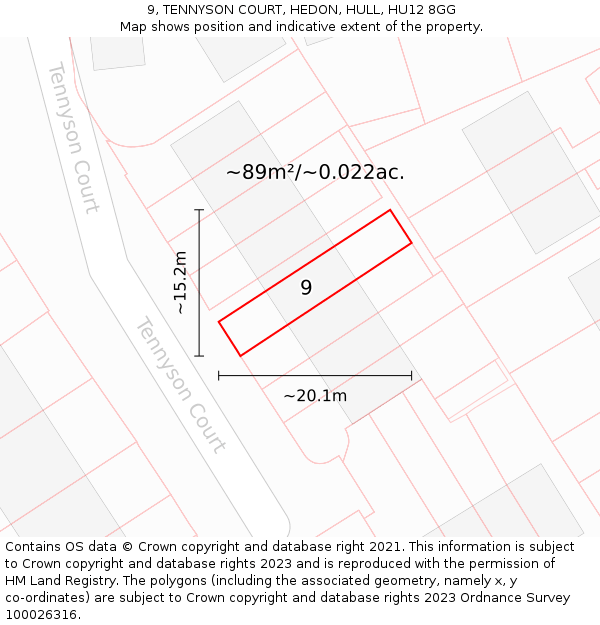 9, TENNYSON COURT, HEDON, HULL, HU12 8GG: Plot and title map