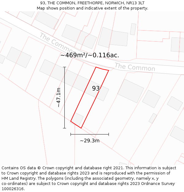 93, THE COMMON, FREETHORPE, NORWICH, NR13 3LT: Plot and title map