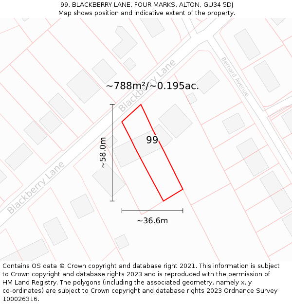 99, BLACKBERRY LANE, FOUR MARKS, ALTON, GU34 5DJ: Plot and title map