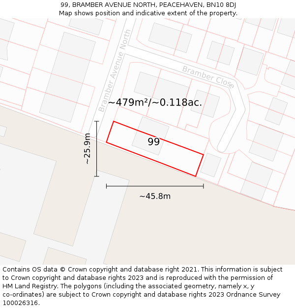 99, BRAMBER AVENUE NORTH, PEACEHAVEN, BN10 8DJ: Plot and title map