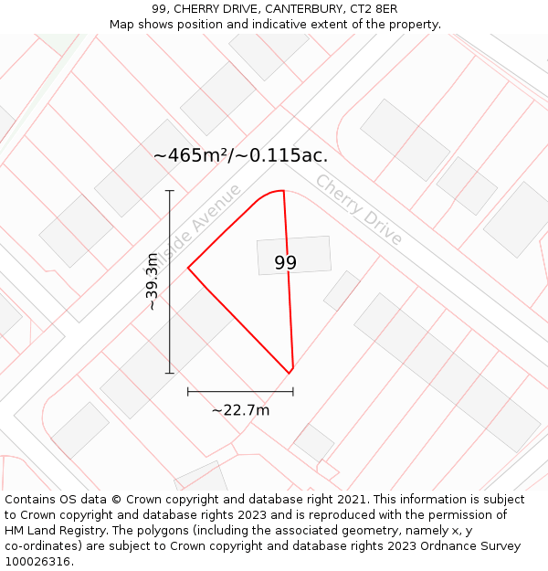 99, CHERRY DRIVE, CANTERBURY, CT2 8ER: Plot and title map