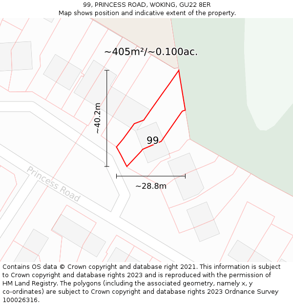 99, PRINCESS ROAD, WOKING, GU22 8ER: Plot and title map