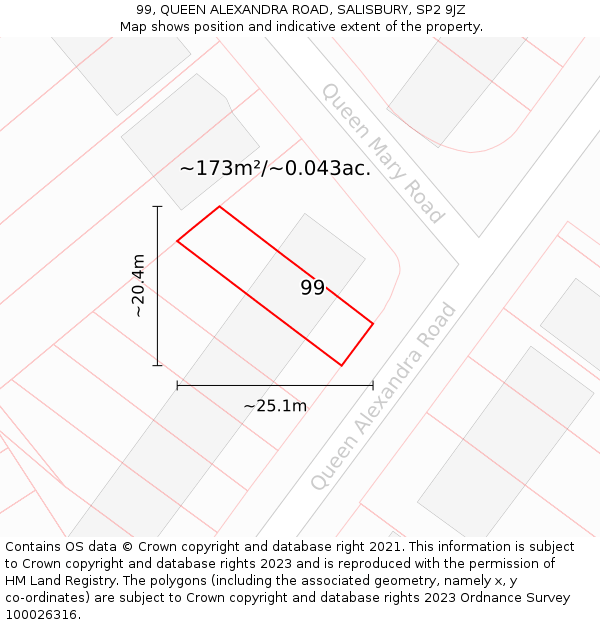 99, QUEEN ALEXANDRA ROAD, SALISBURY, SP2 9JZ: Plot and title map