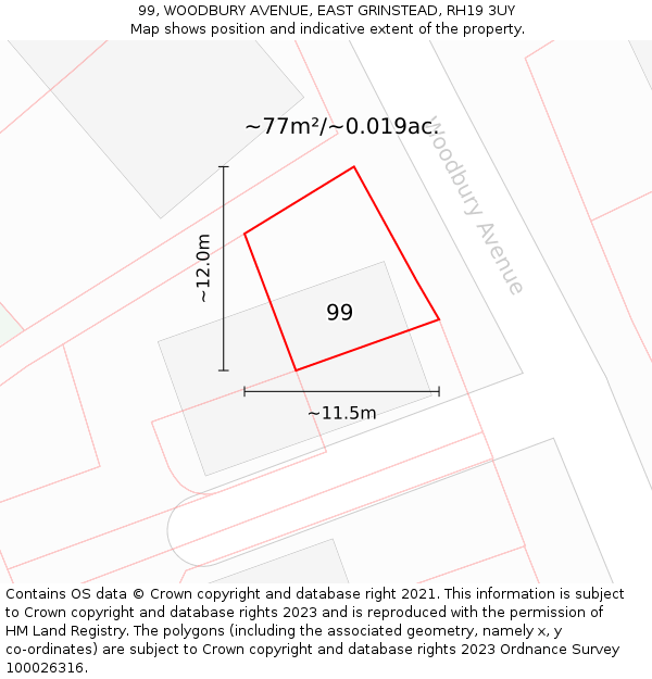 99, WOODBURY AVENUE, EAST GRINSTEAD, RH19 3UY: Plot and title map