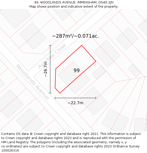 99, WOODLANDS AVENUE, IMMINGHAM, DN40 2JN: Plot and title map