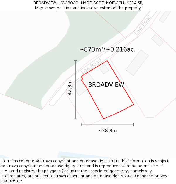 BROADVIEW, LOW ROAD, HADDISCOE, NORWICH, NR14 6PJ: Plot and title map