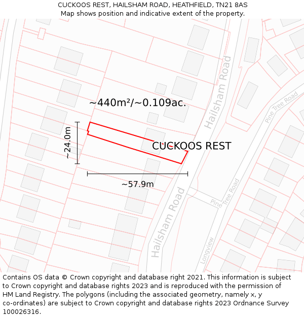 CUCKOOS REST, HAILSHAM ROAD, HEATHFIELD, TN21 8AS: Plot and title map