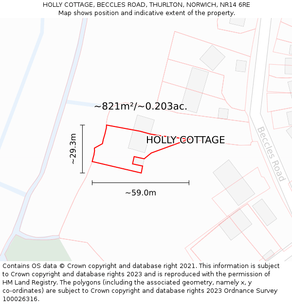 HOLLY COTTAGE, BECCLES ROAD, THURLTON, NORWICH, NR14 6RE: Plot and title map