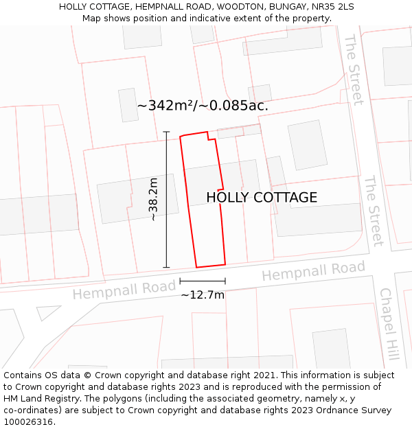 HOLLY COTTAGE, HEMPNALL ROAD, WOODTON, BUNGAY, NR35 2LS: Plot and title map