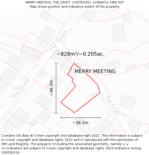 MERRY MEETING, THE CROFT, COSTESSEY, NORWICH, NR8 5DT: Plot and title map