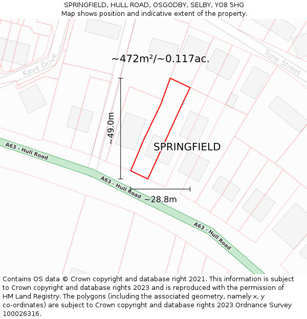 SPRINGFIELD, HULL ROAD, OSGODBY, SELBY, YO8 5HG: Plot and title map