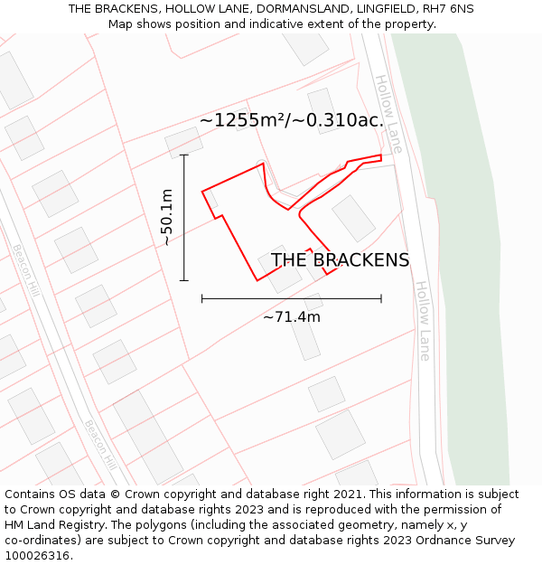 THE BRACKENS, HOLLOW LANE, DORMANSLAND, LINGFIELD, RH7 6NS: Plot and title map