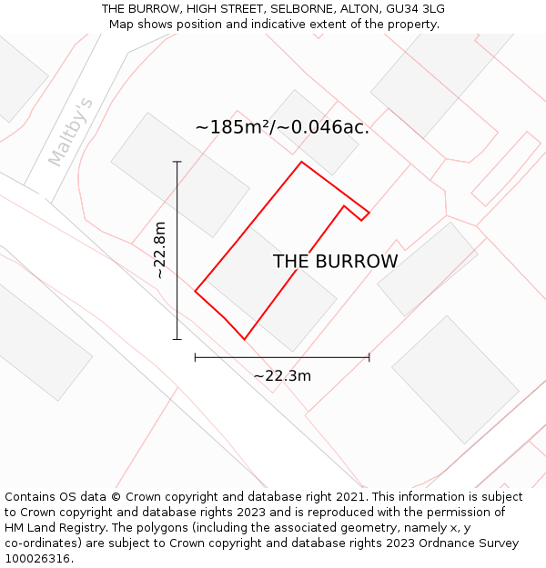 THE BURROW, HIGH STREET, SELBORNE, ALTON, GU34 3LG: Plot and title map