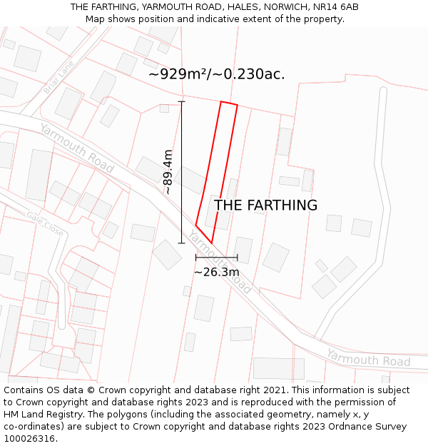 THE FARTHING, YARMOUTH ROAD, HALES, NORWICH, NR14 6AB: Plot and title map