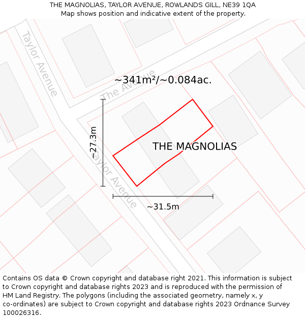 THE MAGNOLIAS, TAYLOR AVENUE, ROWLANDS GILL, NE39 1QA: Plot and title map